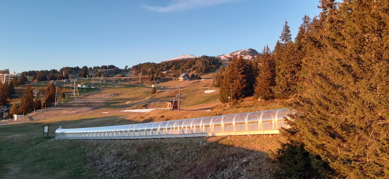 Studio Aux Pieds Des Pistes Roche Beranger Chamrousse Ngoại thất bức ảnh