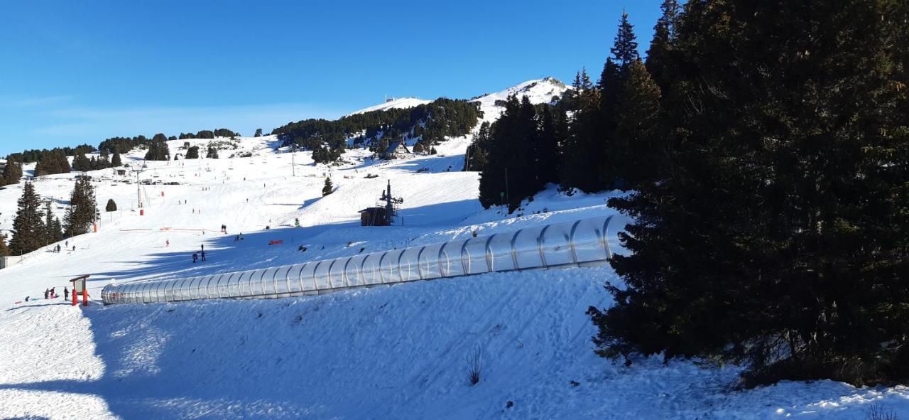 Studio Aux Pieds Des Pistes Roche Beranger Chamrousse Ngoại thất bức ảnh