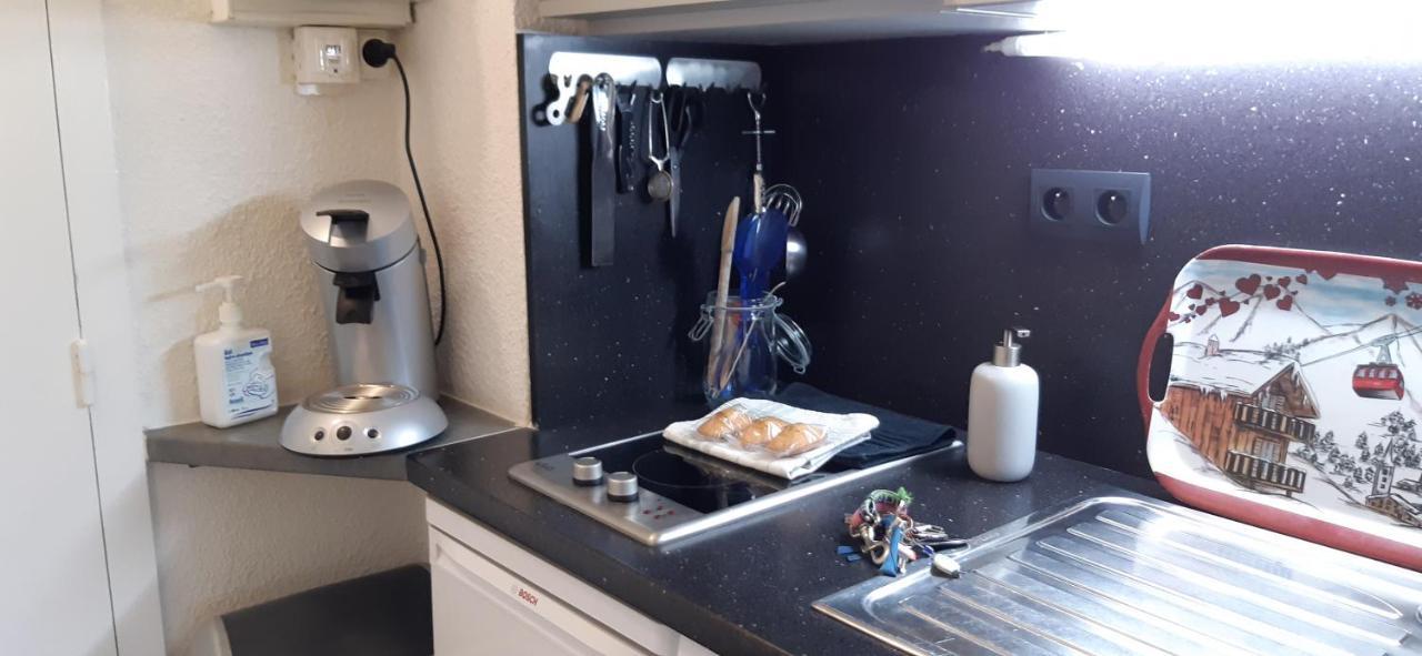 Studio Aux Pieds Des Pistes Roche Beranger Chamrousse Ngoại thất bức ảnh